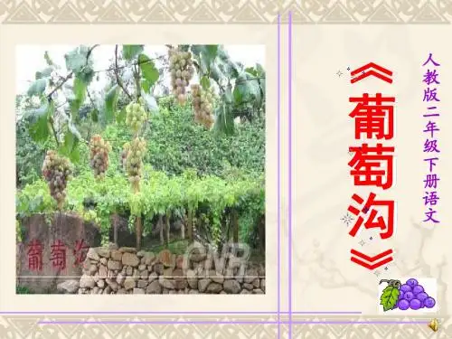 人教版小学语文二年级下册《葡萄沟》PPT课件