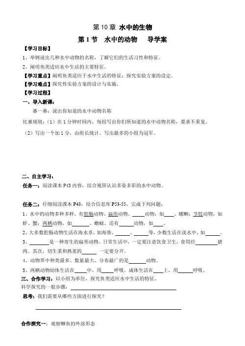 苏科版初中生物七年级下册教案-5.10.1 水中的动物13