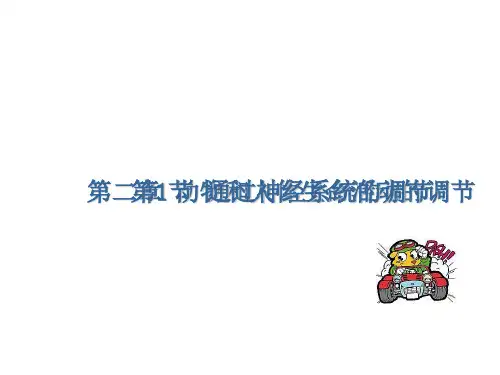 高三一轮复习课件：通过神经系统的调节