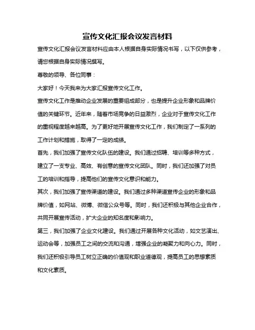 宣传文化汇报会议发言材料