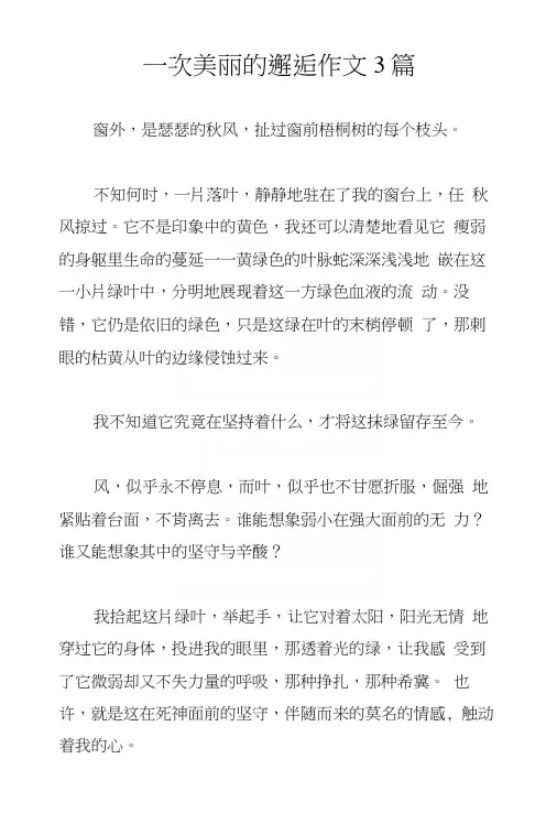 一次美丽的邂逅作文3篇