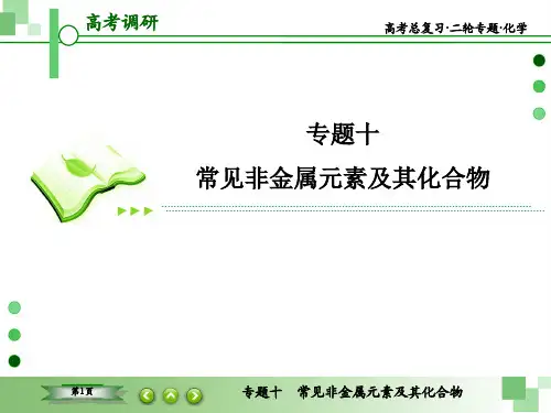 10常见非金属元素及其化合物