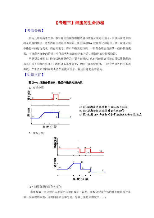 高三生物高考二轮复习专题《细胞的生命历程》新人教版