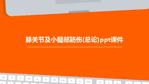 膝关节及小腿部筋伤(总论)PPT课件