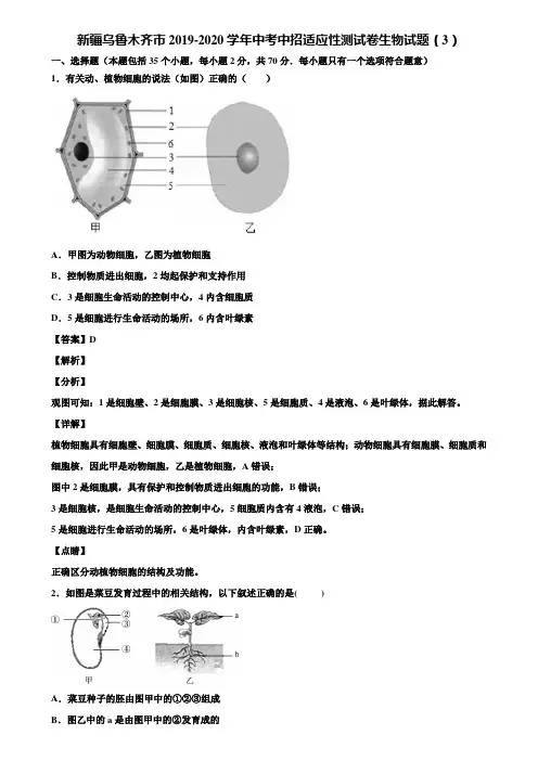 新疆乌鲁木齐市2019-2020学年中考中招适应性测试卷生物试题(3)含解析