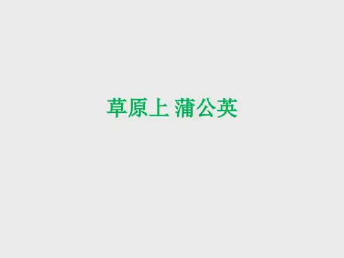 苏少版小学二年级音乐上册(简谱)草原上 蒲公英_课件1