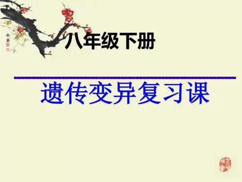 人教版新课程标准生物的遗传和变异复习课件PPT