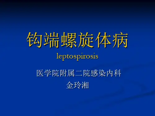 《传染病学》教学课件：钩端螺旋体病