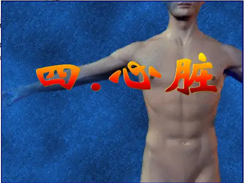 心脏体格检查