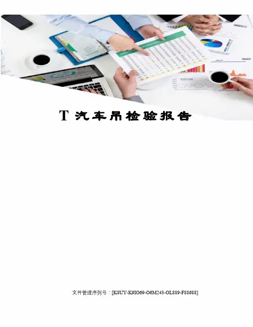 T汽车吊检验报告