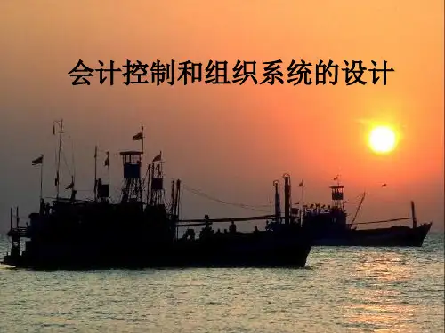 财务会计控制与组织系统的设计模版(PPT102张)