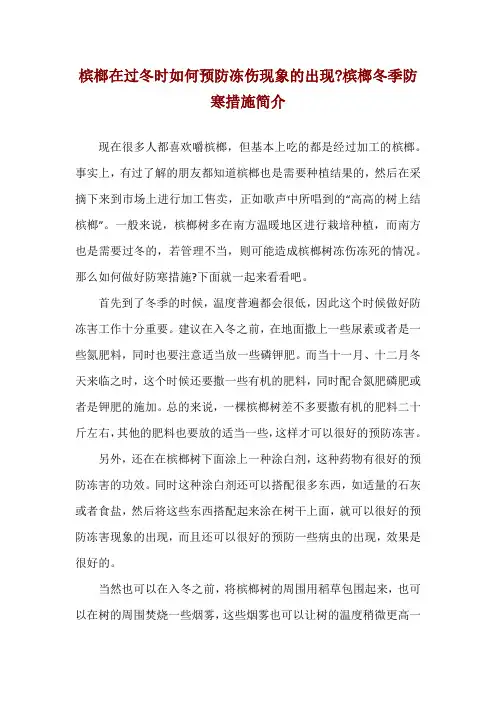 槟榔在过冬时如何预防冻伤现象的出现-槟榔冬季防寒措施简介