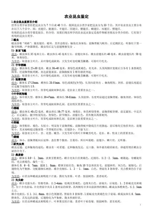 农业昆虫鉴定