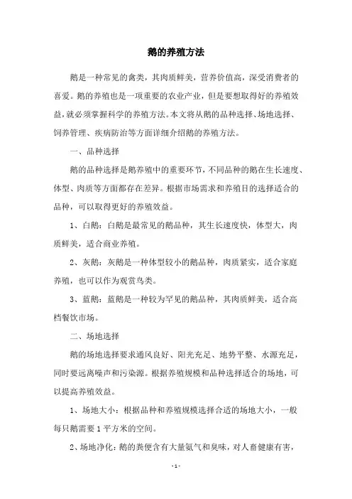 鹅的养殖方法