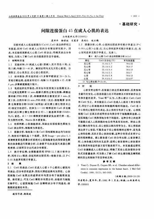 间隙连接蛋白45在成人心肌的表达