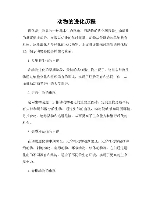 动物的进化历程
