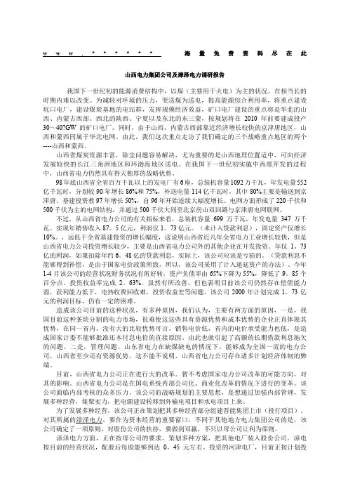 电力集团及漳泽电力调研报告