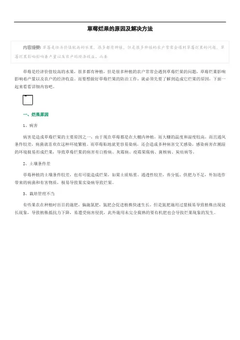 草莓烂果的原因及解决方法