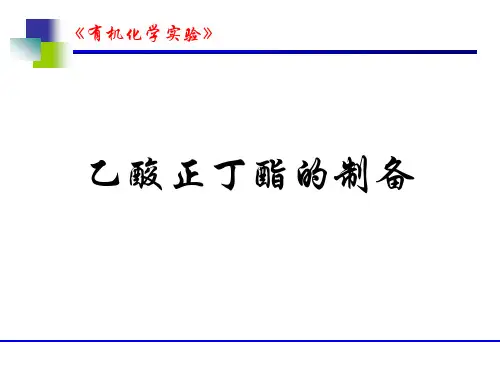乙酸正丁酯的制备.