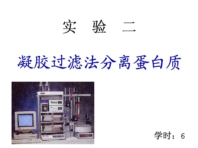 凝胶过滤法分离蛋白质