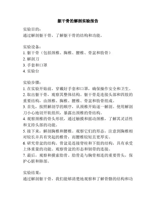 躯干骨的解剖实验报告