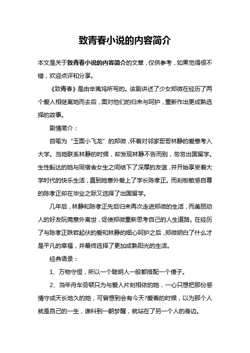 致青春小说的内容简介