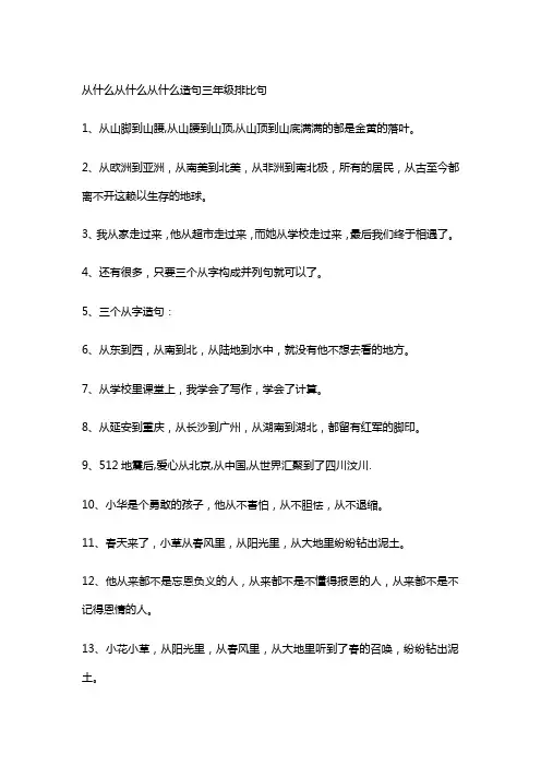 从什么从什么从什么造句三年级排比句