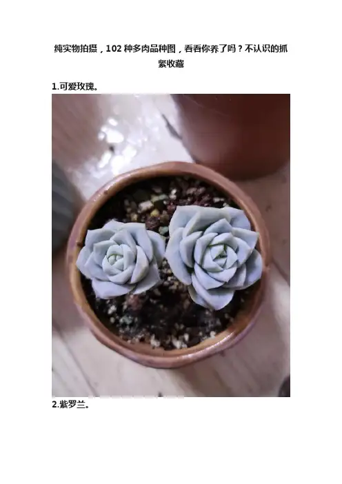 纯实物拍摄，102种多肉品种图，看看你养了吗？不认识的抓紧收藏