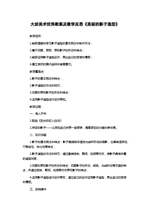 大班美术优秀教案及教学反思《美丽的影子造型》