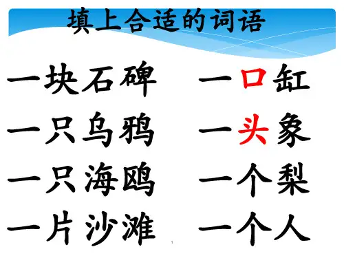 填词语ppt课件