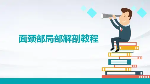 面颈部局部解剖教程