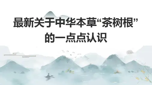 最新关于中华本草“茶树根”的一点点认识