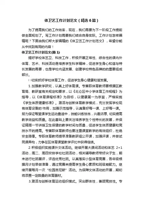 体卫艺工作计划范文（精选6篇）
