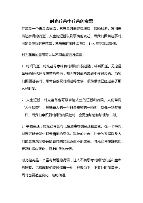 时光荏苒中荏苒的意思