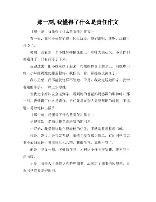 那一刻,我懂得了什么是责任作文