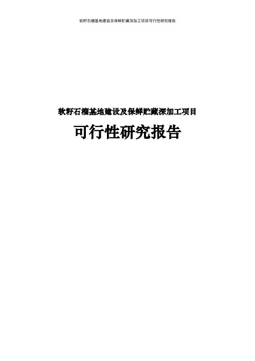 软籽石榴基地建设及保鲜贮藏深加工项目可行性研究报告