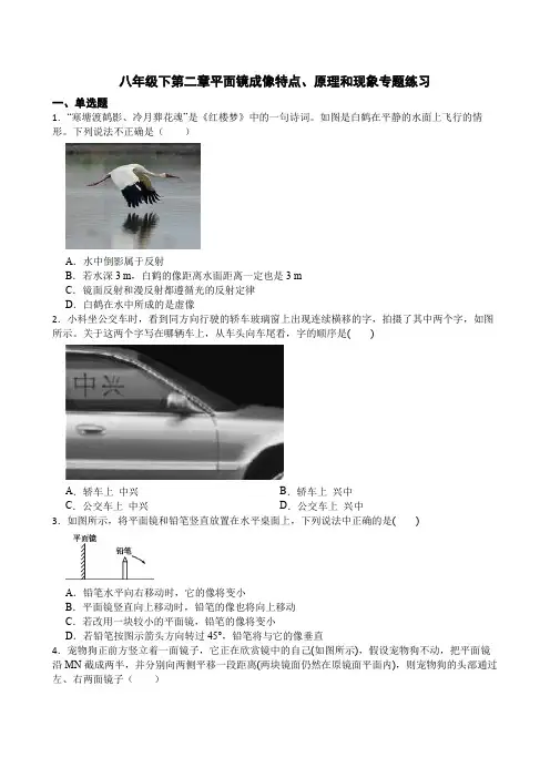 第二章平面镜成像特点、原理和现象专题练习—华东师大版科学八年级下册