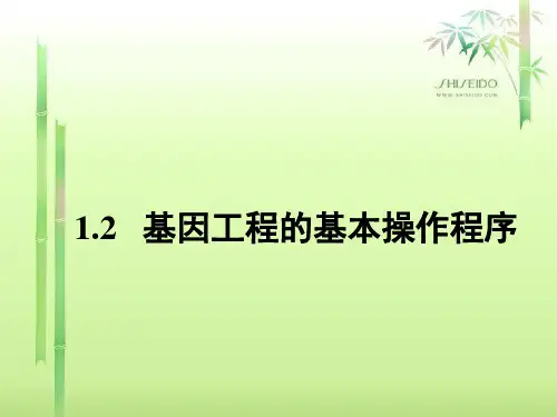 [人教版]《基因工程的基本操作程序》经典课件1