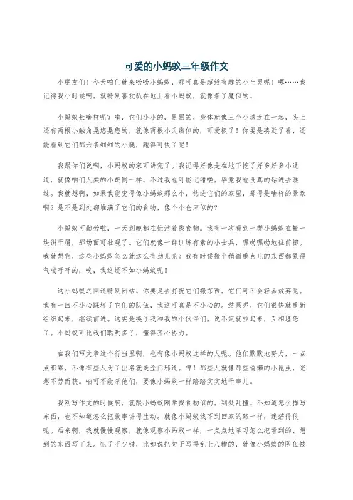 可爱的小蚂蚁三年级作文