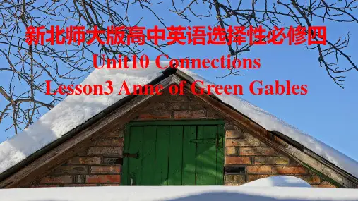 Unit 10 Lesson 3 课件-高中英语北师大版(2019)选择性必修第四册+