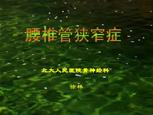 腰椎管狭窄症PPT课件