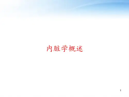 内脏学概述 ppt课件