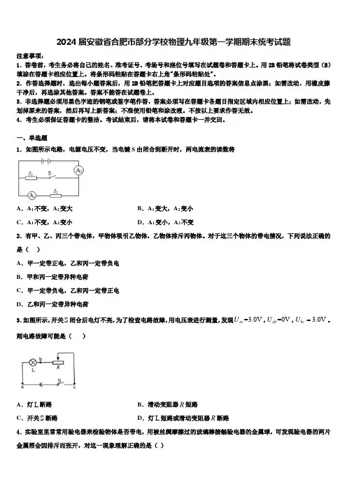 2024届安徽省合肥市部分学校物理九年级第一学期期末统考试题含解析