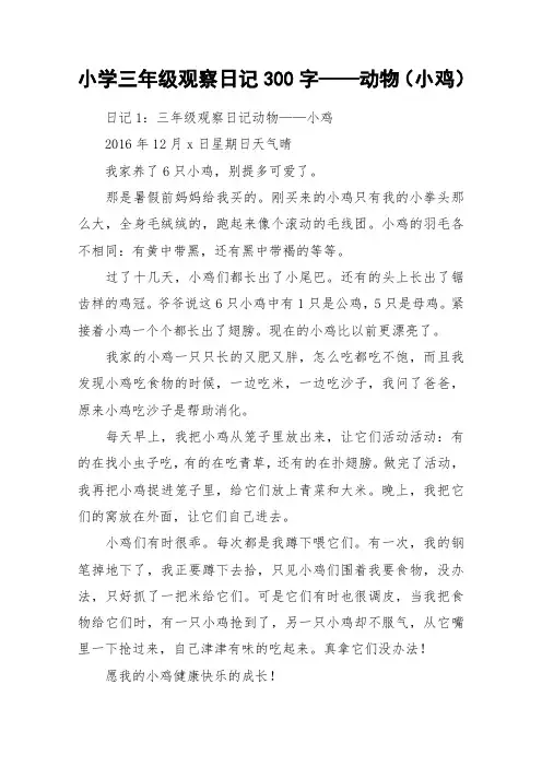 小学三年级观察日记300字——动物(小鸡)_作文