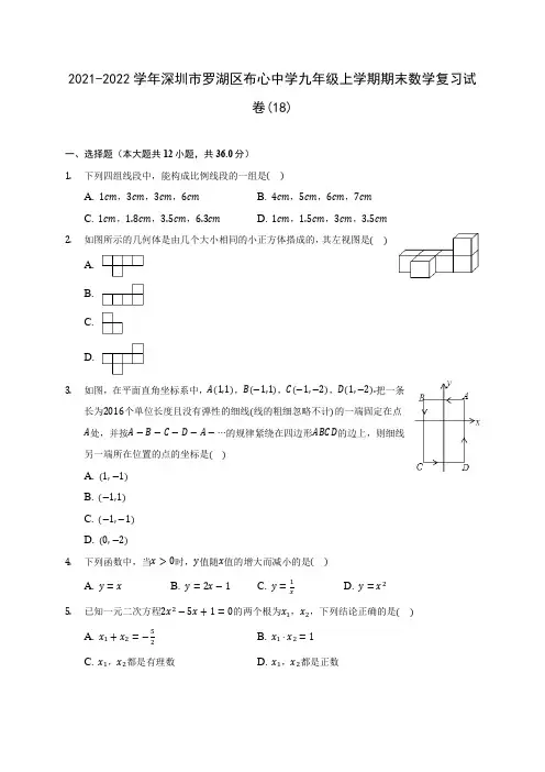 2021-2022学年深圳市罗湖区布心中学九年级上学期期末数学复习试卷(18)(含答案解析)