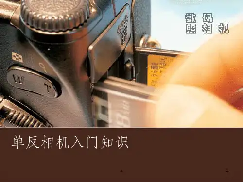 单反相机入门知识(新手必看)