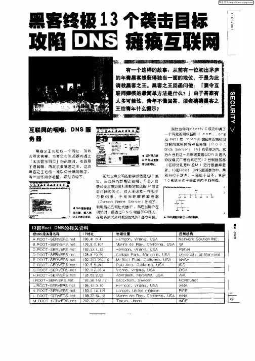 黑客终极13个袭击目标攻陷DNS瘫痪互联网