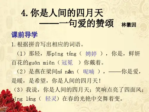 2019人教部编版九年级语文上册课件：第4课《你是人间的四月天》(共14张PPT)