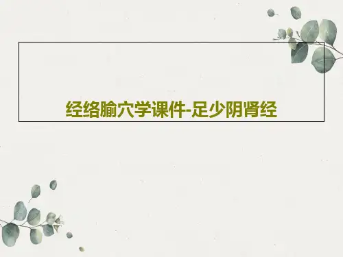 经络腧穴学课件-足少阴肾经26页文档可修改全文