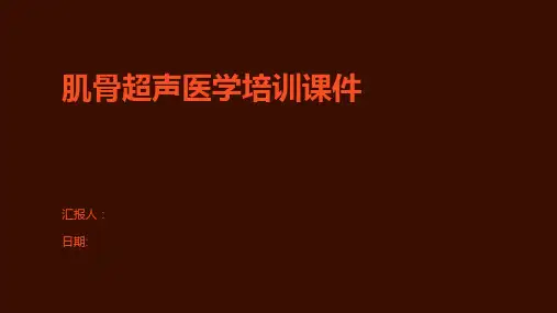 肌骨超声医学培训课件